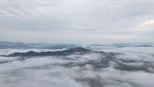 广西柳州万亩茶园清晨雾天航拍