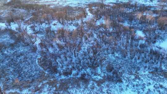 航拍冰雪覆盖的冻土森林湿地