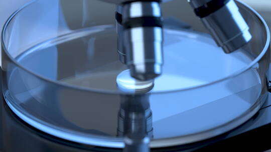 显微镜与培养皿 3D渲染