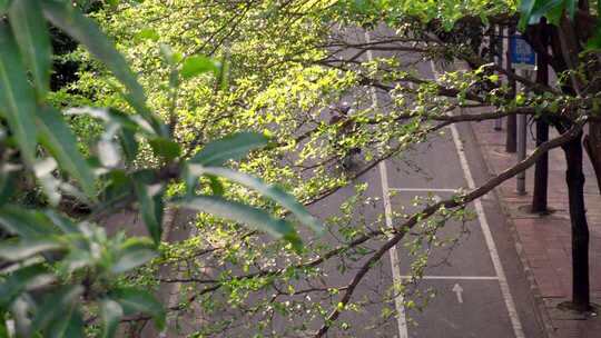 秋天来了暖阳下的江边人来人往和浮光掠影