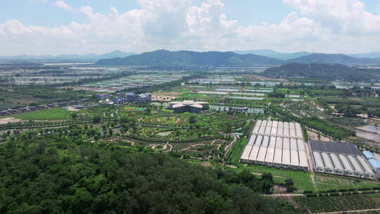 乡村振兴宣传空镜稻田村居旅游产业