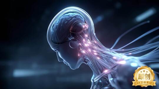 智慧大脑神经元精密结构探索