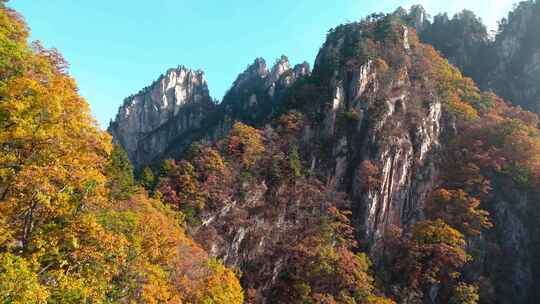 南阳老界岭秋景风光