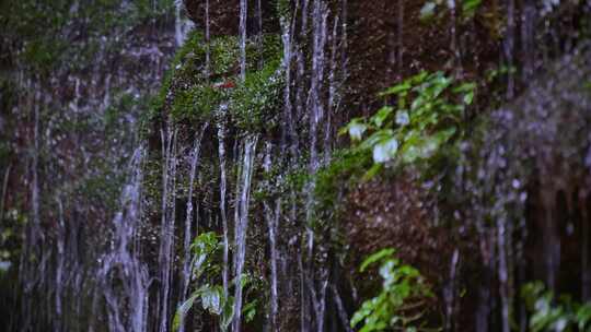 岩壁流水滴水