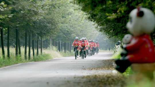 4k森林中自行车骑行队队伍