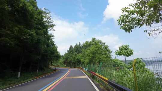 森林公路林荫大道骑自行车骑行第一视角