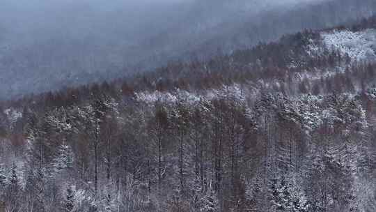 航拍东北下暴雪林海雪原威虎山