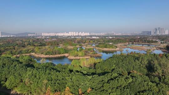 航拍无锡贡湖湾湿地公园视频素材模板下载