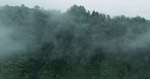 青山薄雾秋天自然航拍风景美丽大山雾气飘渺