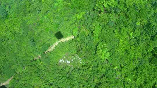 香港离岛大屿山缆车索道俯瞰海岛森林