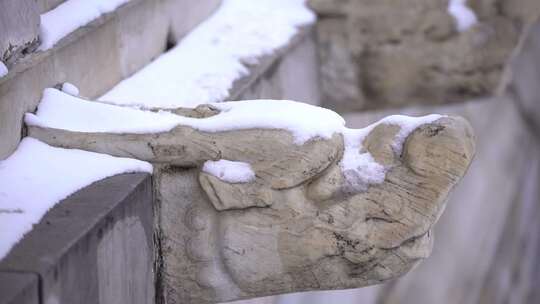 故宫雪景 龙头石雕