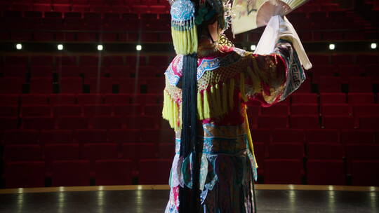 戏剧舞台中央演员表演时的背影视频素材模板下载