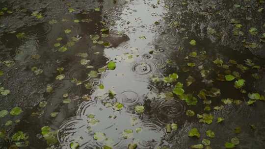 雨滴落在人行道上