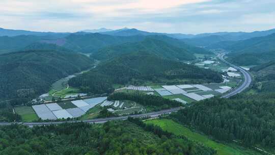 绿色农村高速森林高山田地