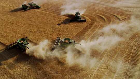 小麦 农田 丰收 收获 农业视频素材模板下载
