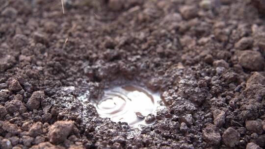 4K春雨滴落在泥土上浸润土壤实拍视频素材模板下载