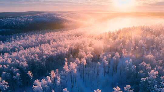 立冬节气夕阳下白雪森林冰天雪地旅行风景