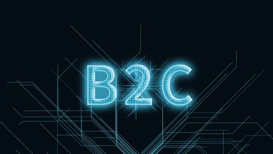 B2C三维科技感电路板生长线条场景