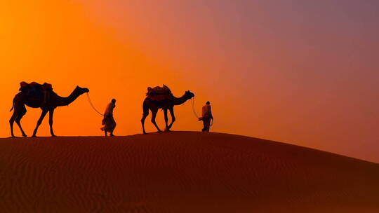 延时日落时分沙漠上的骆驼队剪影
