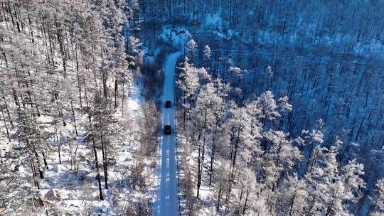 林海雪原 唯美高山雾凇