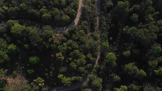 森林道路汽车行驶视频素材模板下载