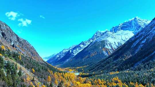 雪山下多彩树林与湖泊相映的美景