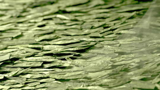 茶叶龙井茶特写展示