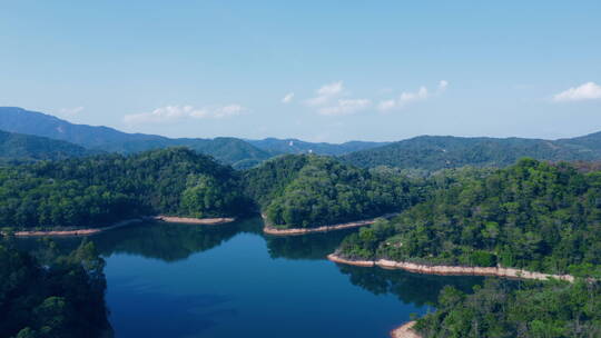 航拍4k湖景森林