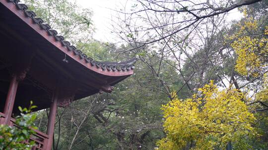 杭州宝石山玛瑙寺连横纪念馆