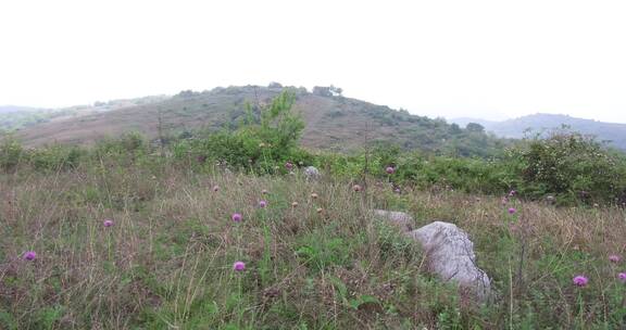 荒山野岭