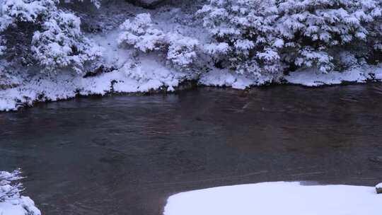 溪边雪景，白雪覆盖植被与溪流相映成趣