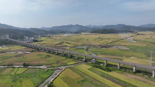 乡村农田稻田铁路航拍