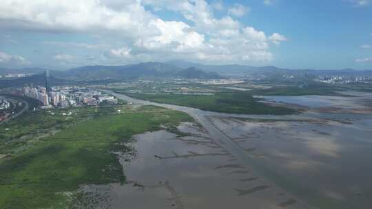 4K航拍深圳福田红树林湿地保护区