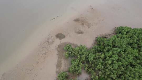 海湾退潮滩涂航拍