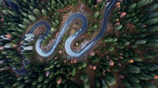 森林山地盘山公路