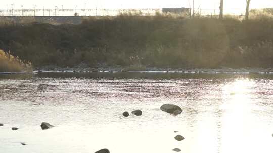 水 小溪 流动 河流 蜿蜒 清澈