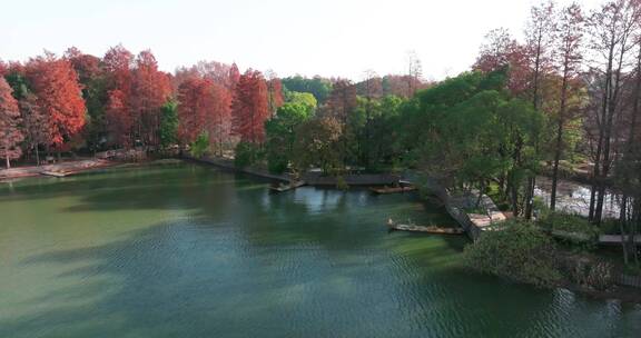 湖北武汉东湖落雁风景区秋季风光