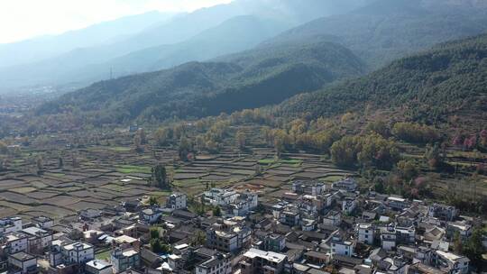 云南大理梯田农田树林森林稻田田地