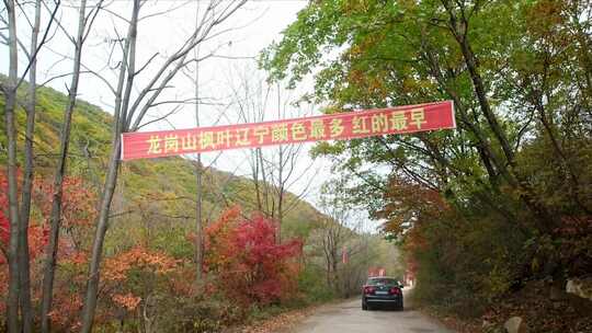 新宾岗山风景区枫叶满山红新宾地标