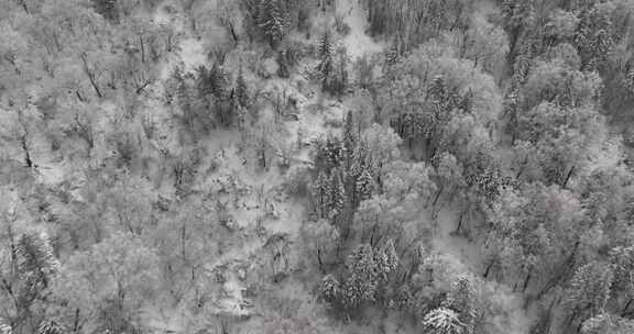 长白山雪岭景区航拍