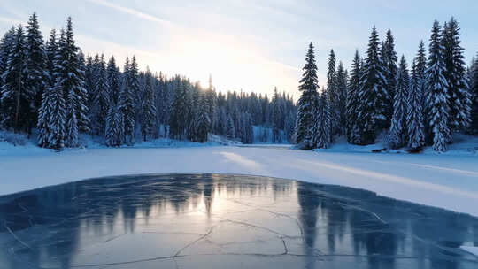 冬日森林冰封湖面雪景
