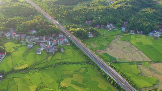 乡村公路稻田自然风光航拍