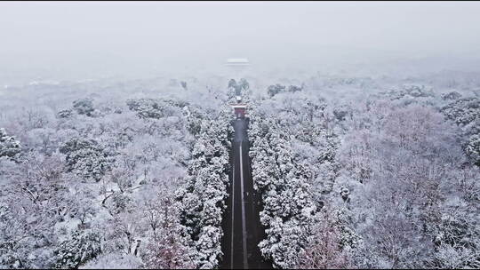 4K航拍南京钟山雪景