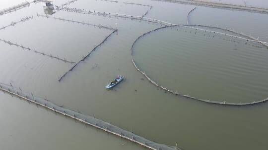 苏州阳澄湖大闸蟹基地4K航拍原素材