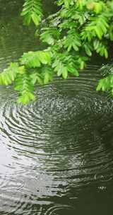 雨水雨滴落在湖面溅起水花波纹竖版竖屏