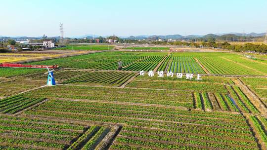 航拍冬季白昼乡村土地农业生态种植场景