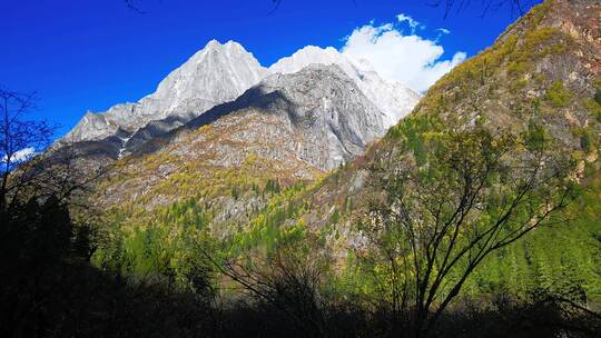 透过树枝前景看长坪沟美景视频素材模板下载