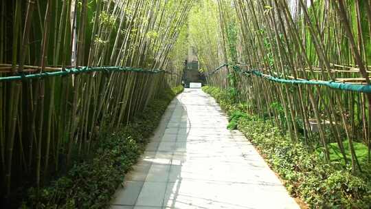 竹林小路 幽静