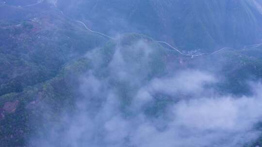 镇安海棠山