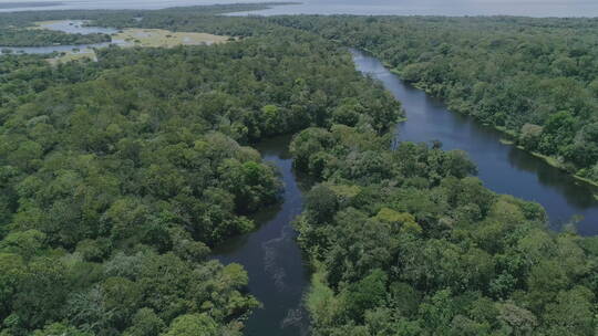 亚马逊河支流